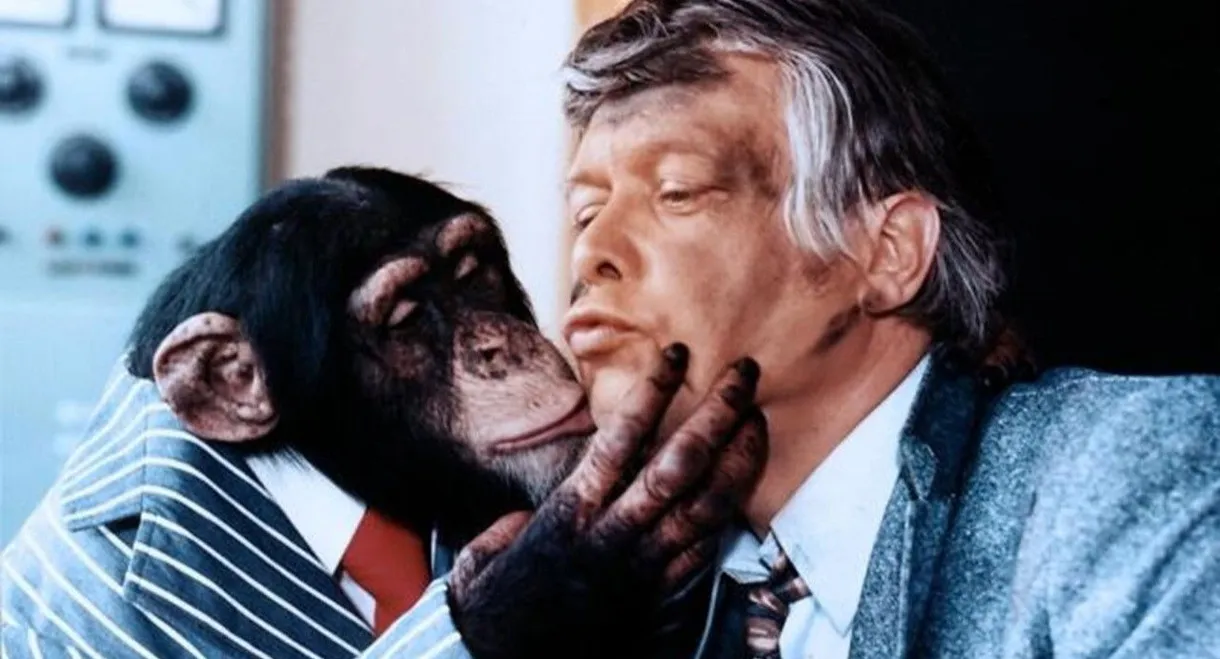 Meine Tochter - Deine Tochter