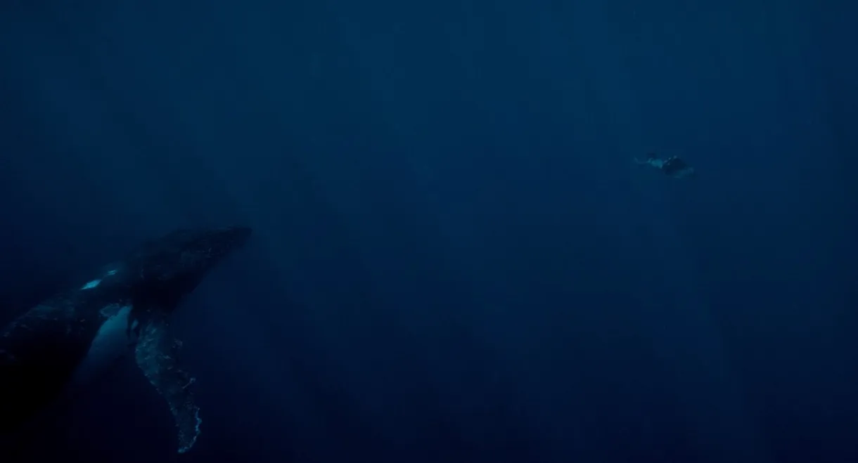 Living on the Threshold