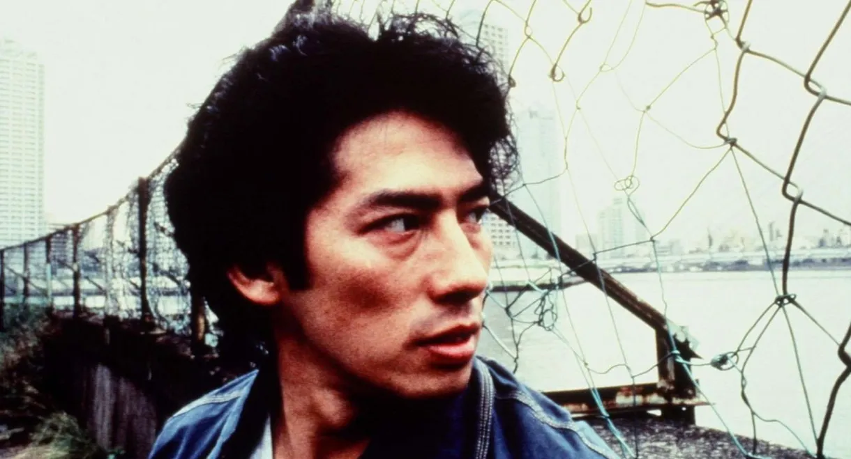 The City That Never Sleeps: Shinjuku Shark