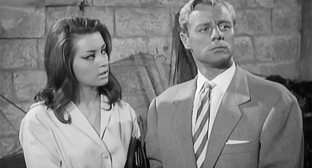 Do It Again Callaghan