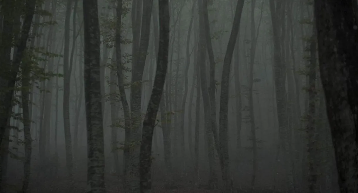 Refuge II: The Ice Path