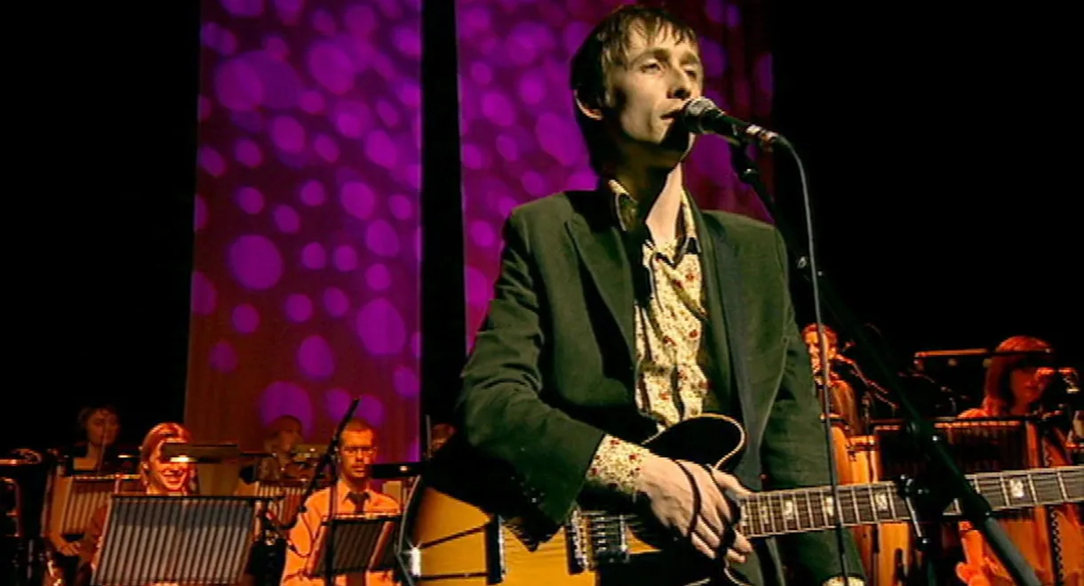 The Divine Comedy Live at the Palladium