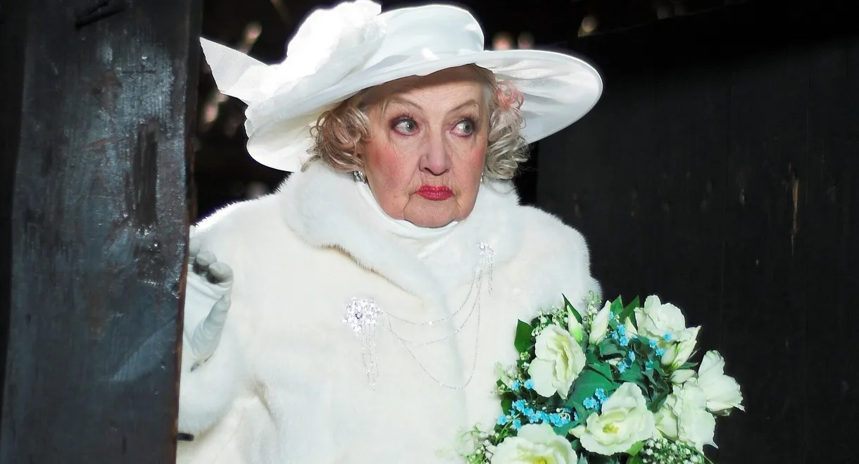 Visit of an Old Lady