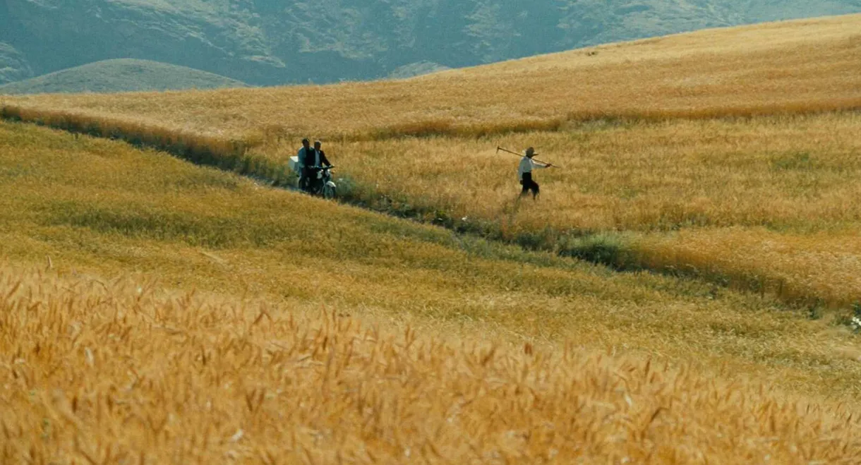 The Wind Will Carry Us