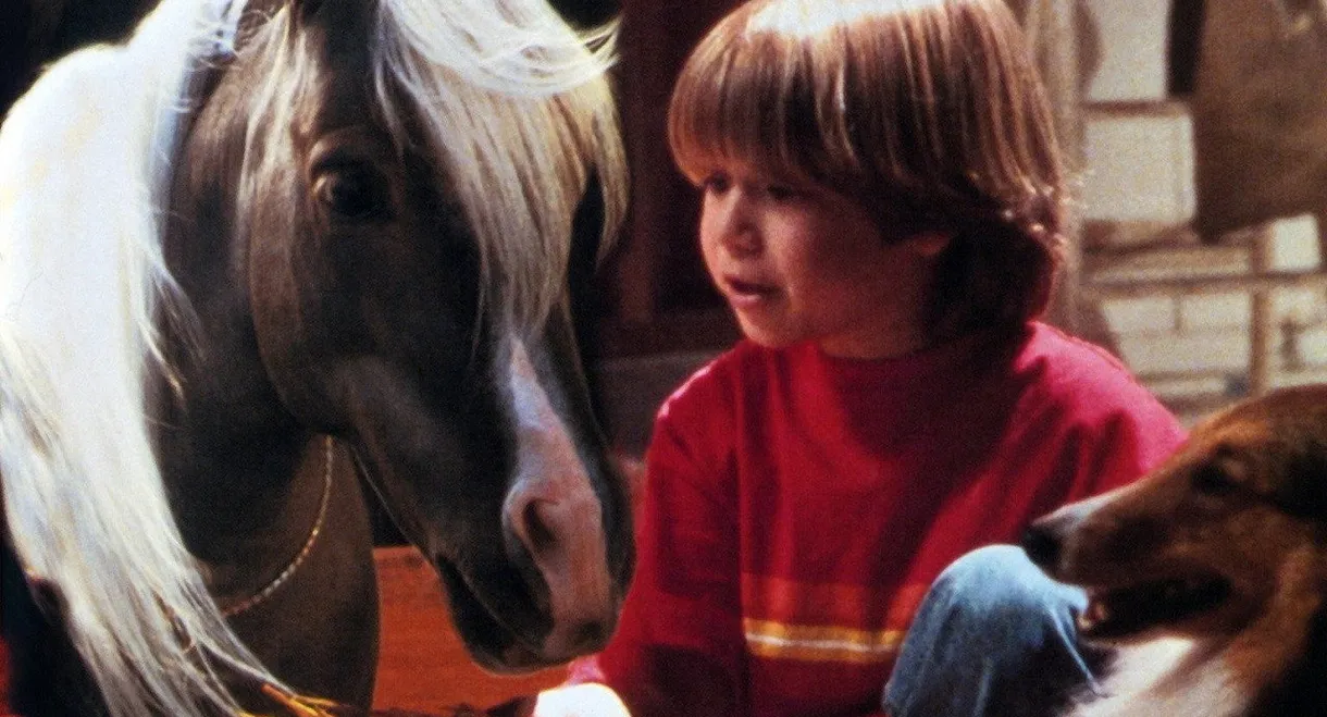 The Adventures of Ragtime