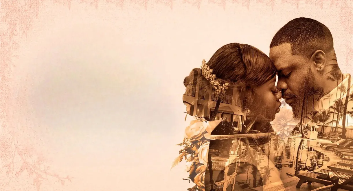 Once Upon a Honeymoon