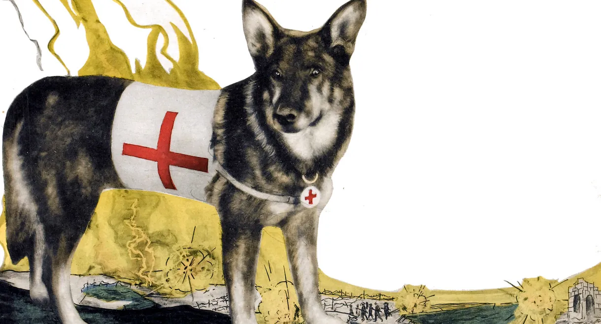 A Dog of the Regiment