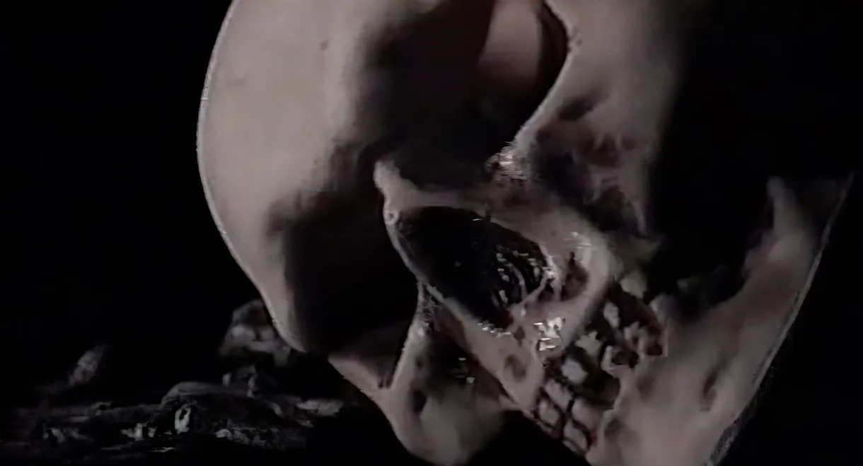 Death ...is just the beginning