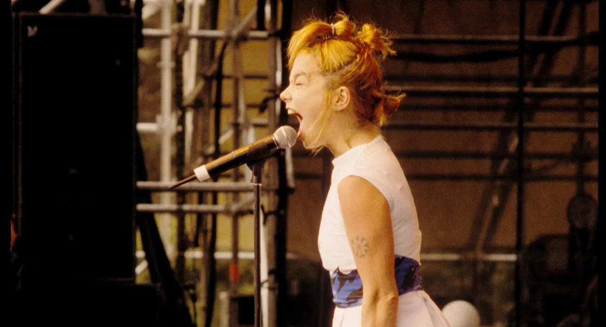 Björk: Tibetan Freedom Concert