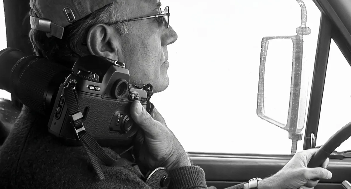 On the Road with Abbas Kiarostami