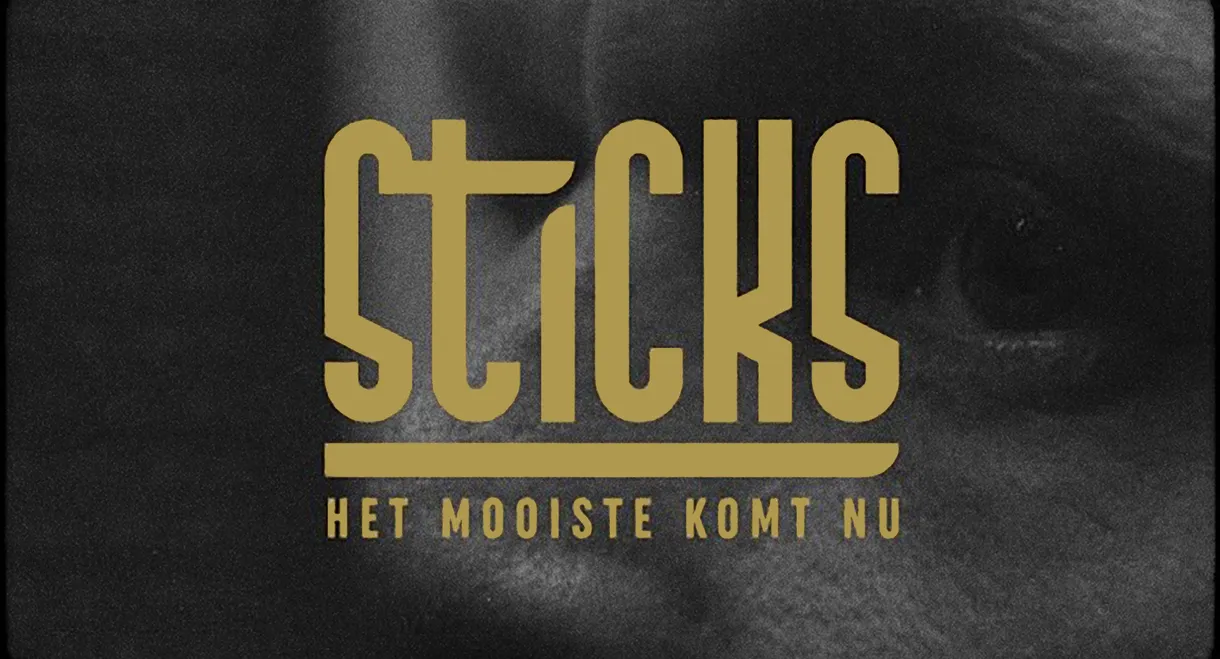 Sticks - Het Mooiste Komt Nu