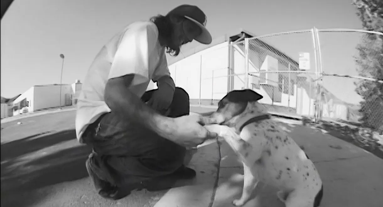 Mystery - Black & White