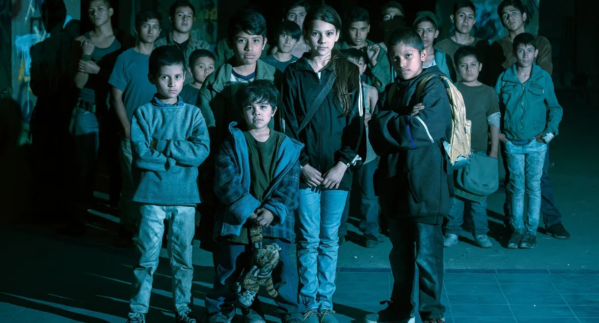 Tigers Are Not Afraid