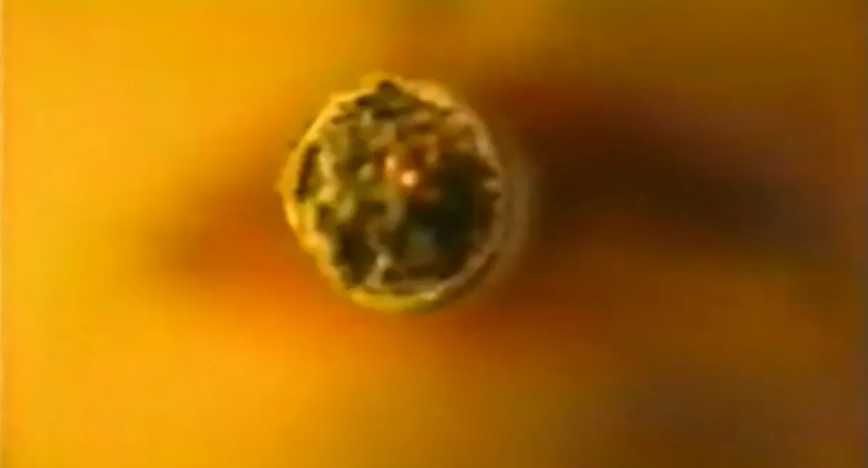 White Trash At Heart