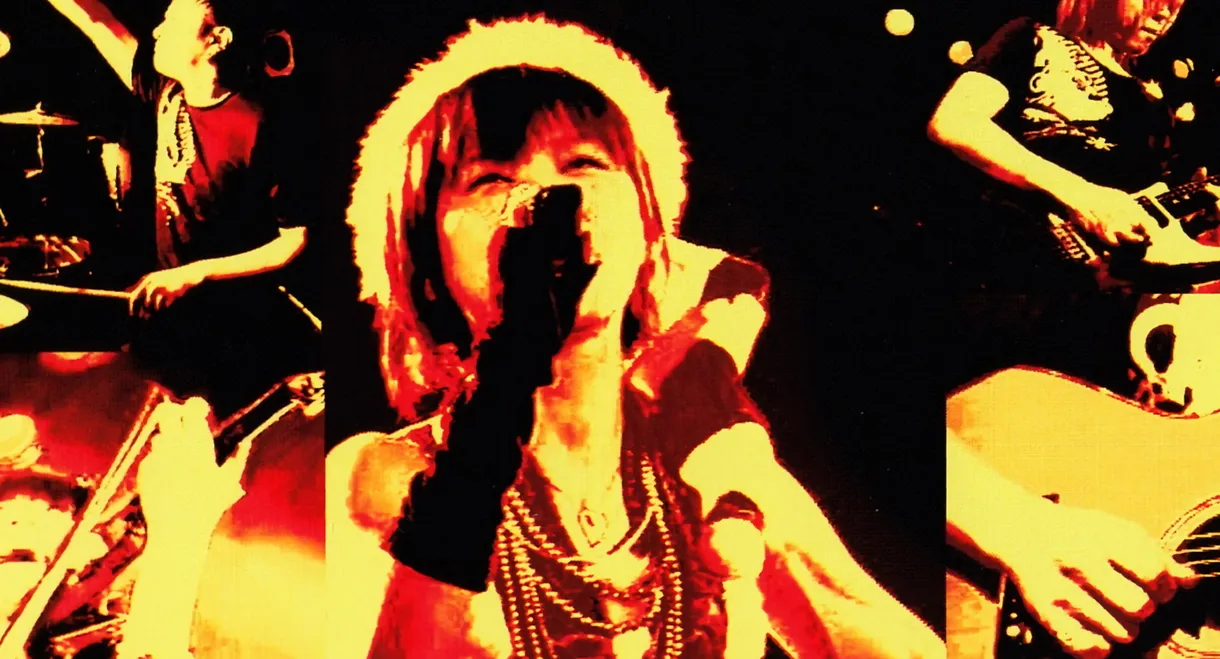 Acoustic LIVE DVD Collection -Falcom x jdkTV-