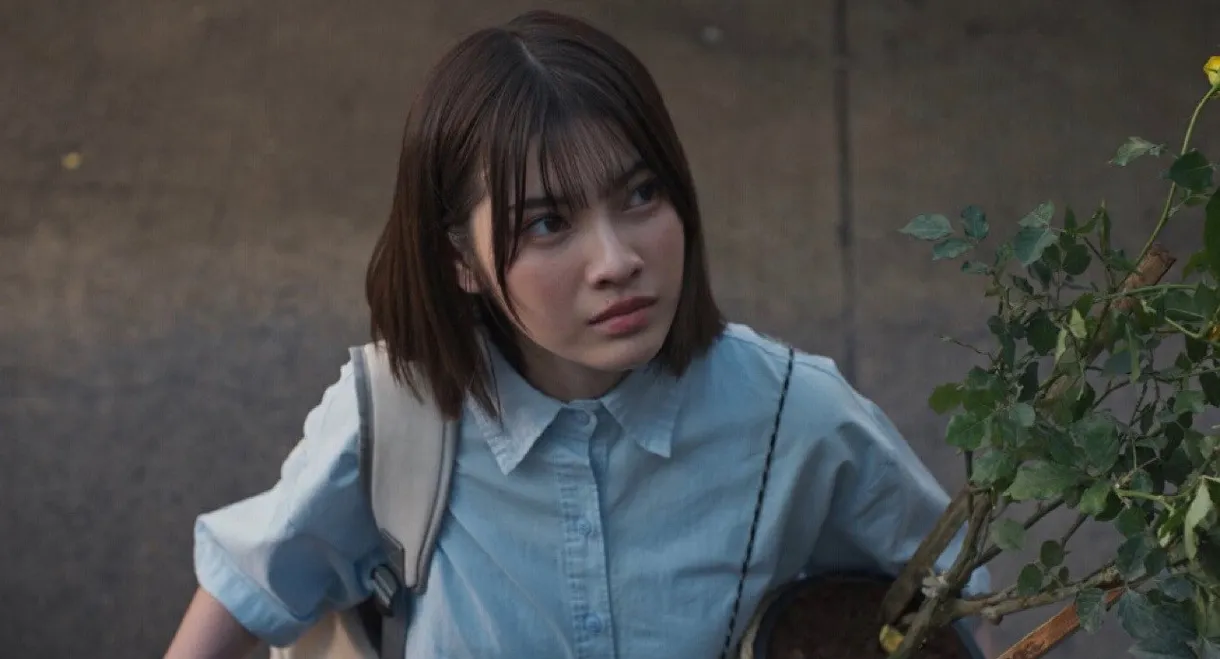 Haunted Universities 4