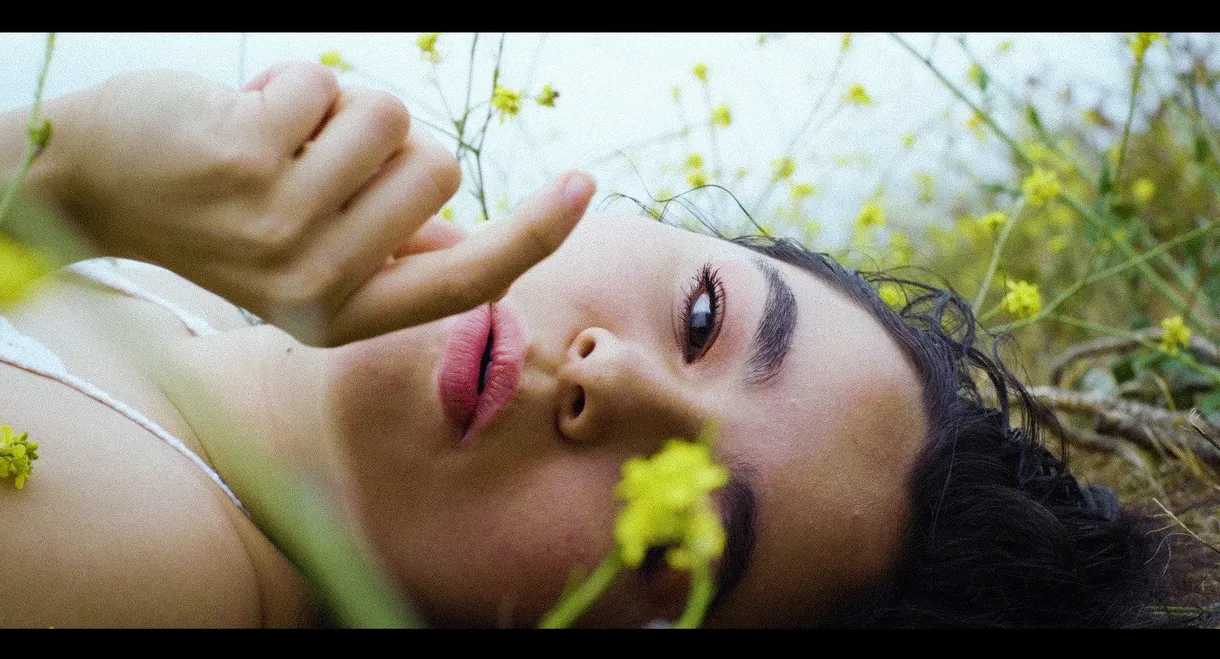 Petals