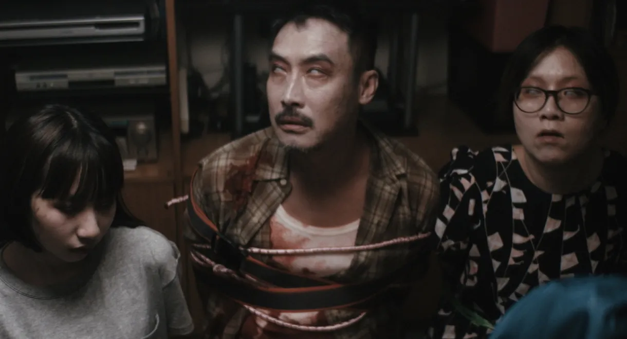 Zombies in the House