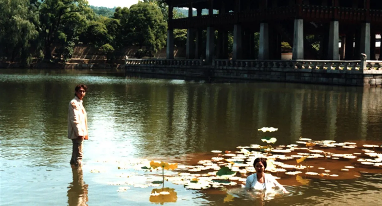 A Mystery of the Cube