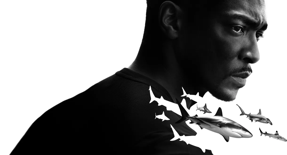 Shark Beach with Anthony Mackie