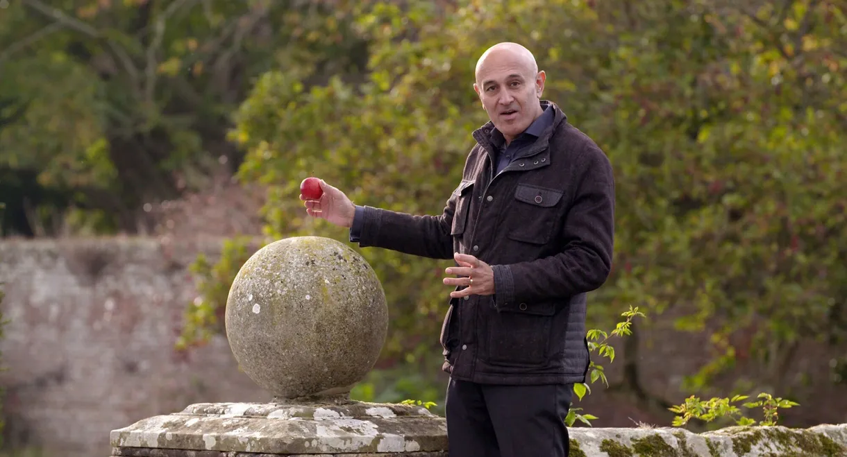 Gravity and Me: The Force That Shapes Our Lives