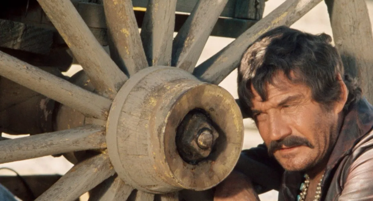 The Devil and Miss Sarah