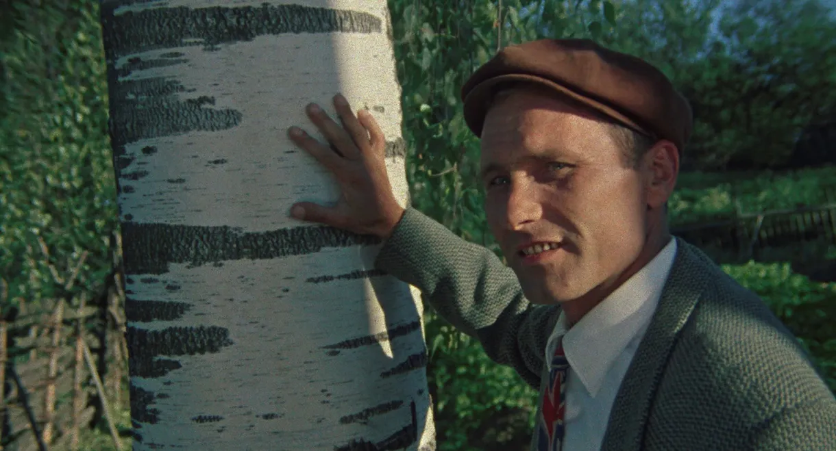 The Red Snowball Tree