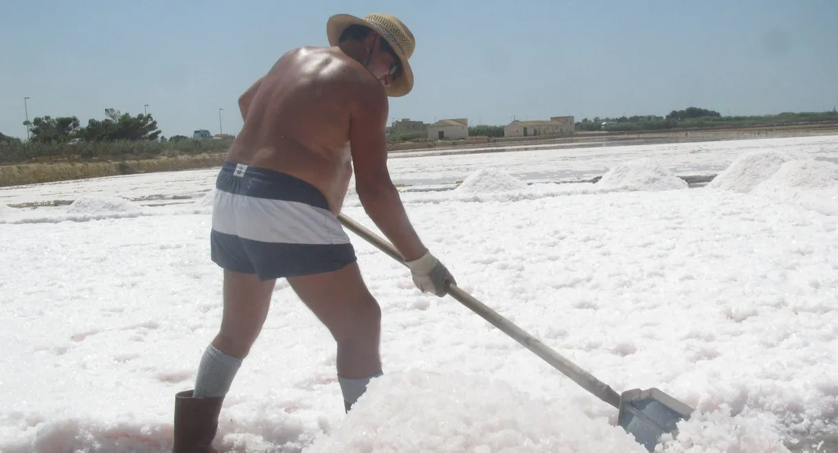 Se hai una montagna di neve, tienila all'ombra
