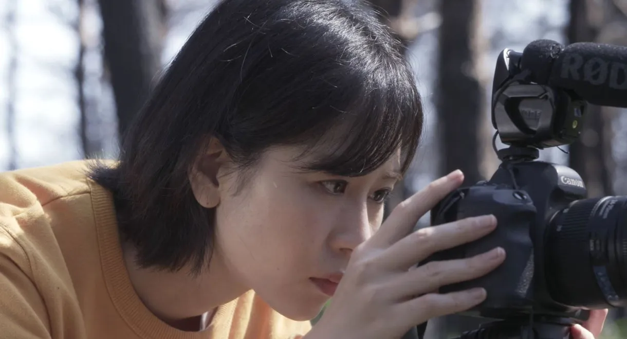 Where Does the Wind Come From?