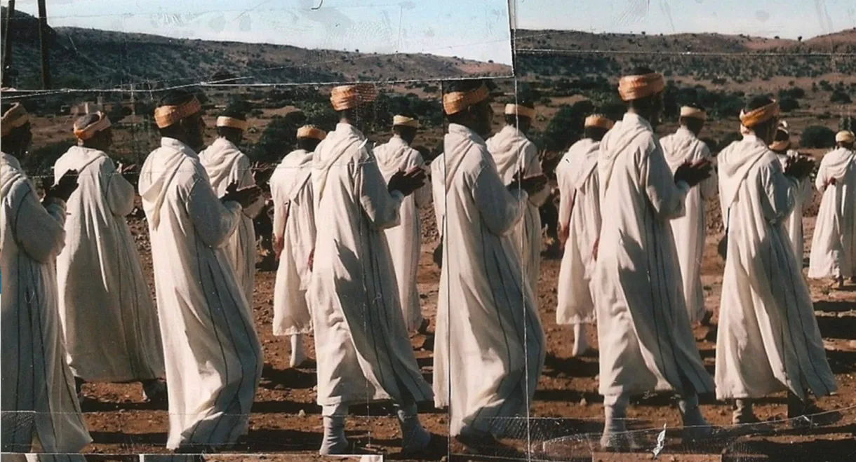 A Hundred Camels in the Courtyard