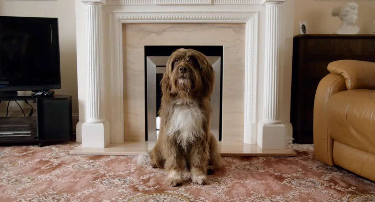 The Dog with the Woman