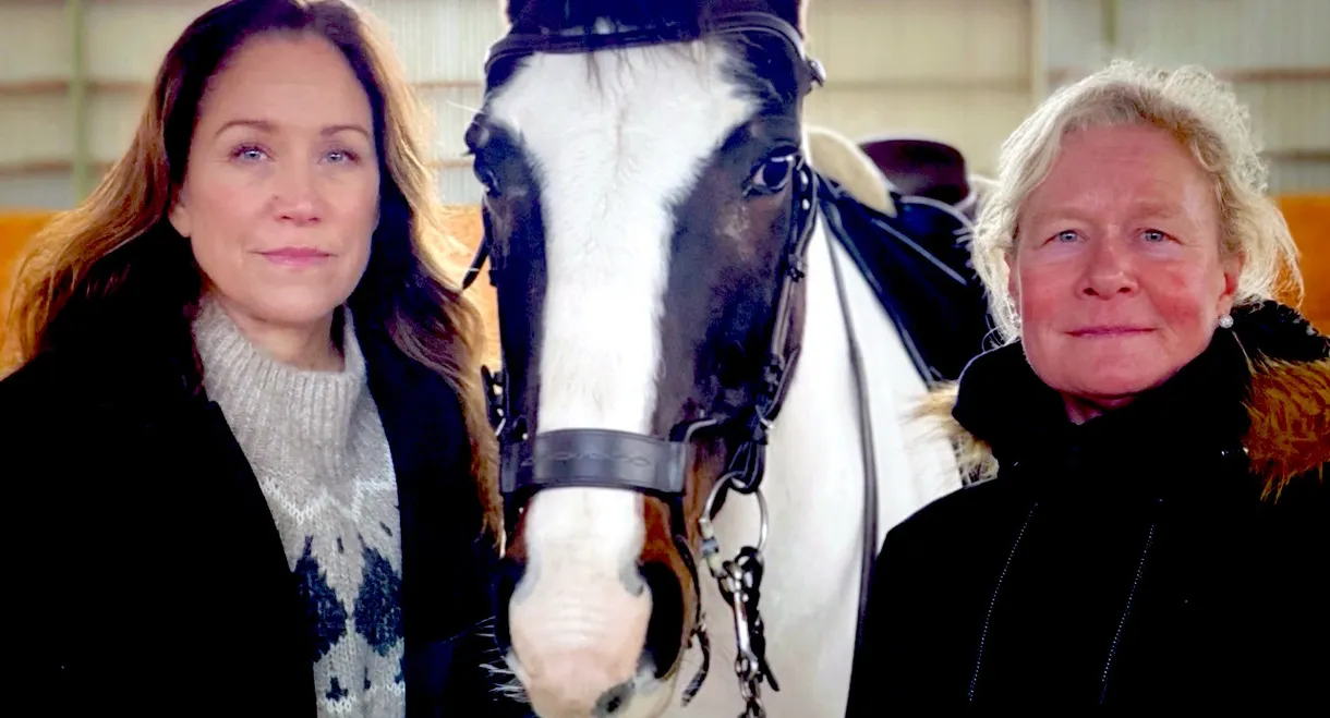 Renée Nyberg: The Kidnap of Ulrika Bidegård