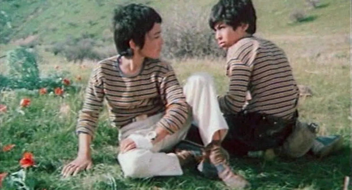 The Mystery of the Green Island