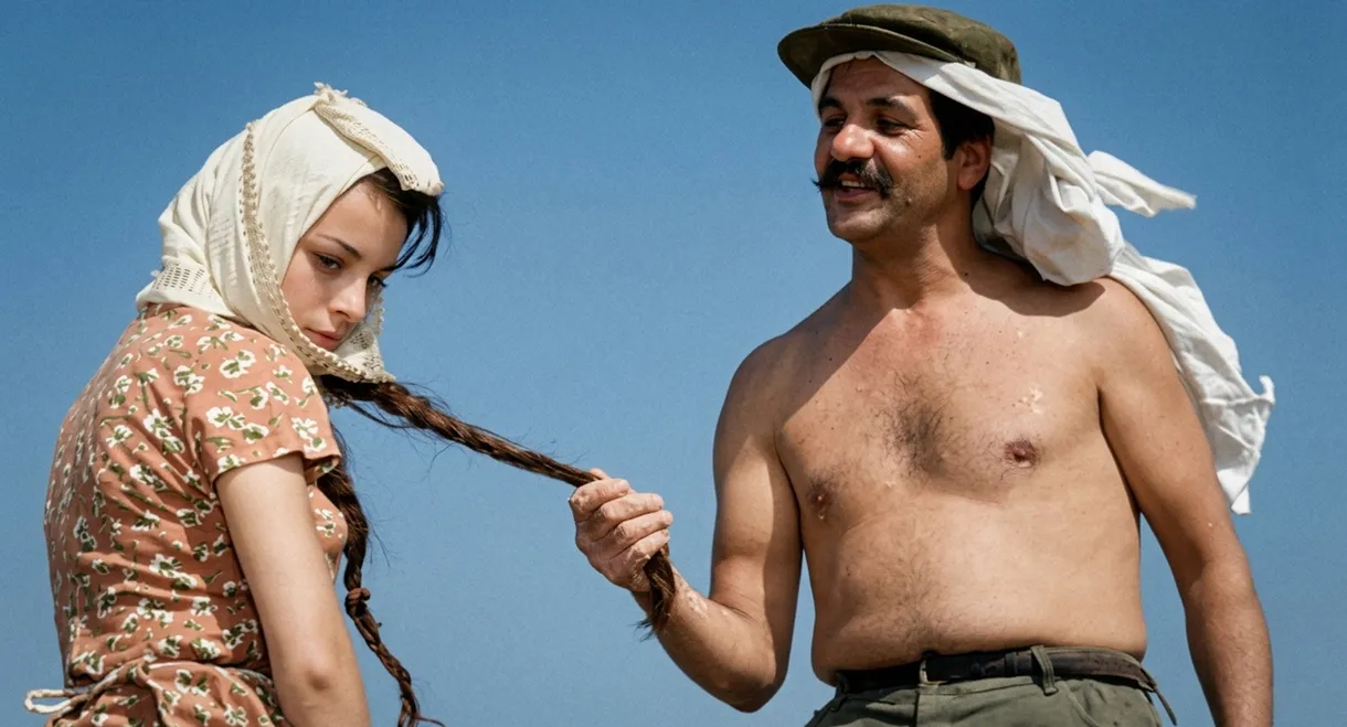 Dry Summer