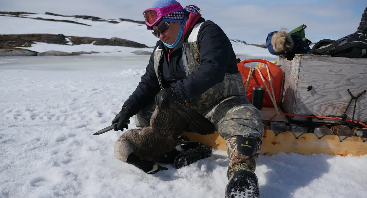 A Century After Nanook