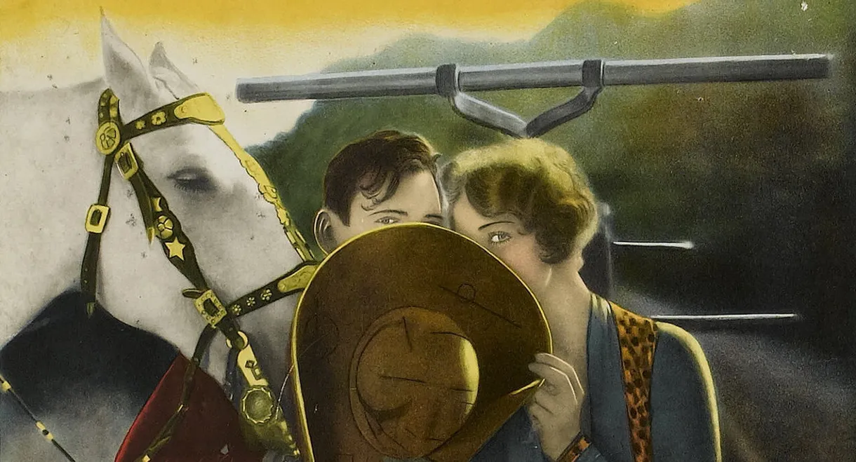 The Branded Sombrero