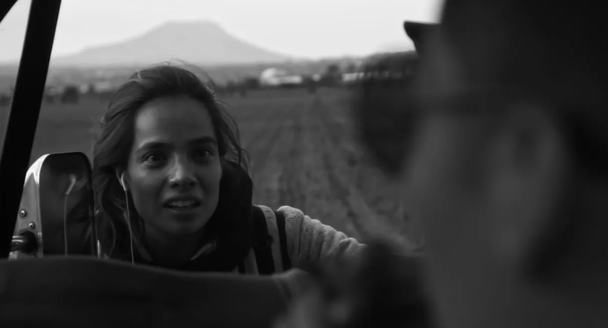 Particulars in the Abbys