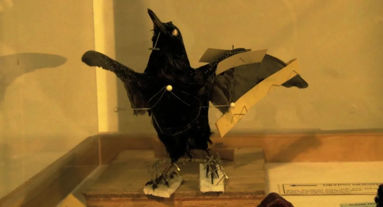 The Last Flesh & Blood Show