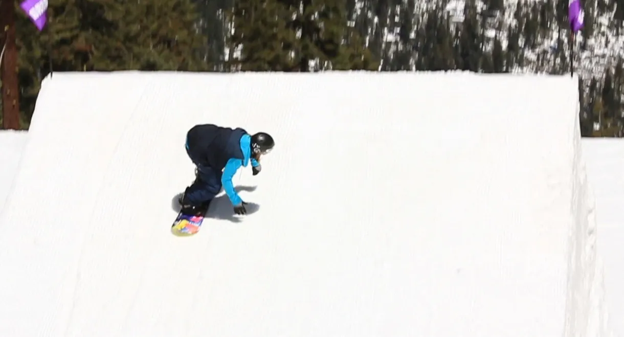 Do What You Love Kjersti Buaas Story