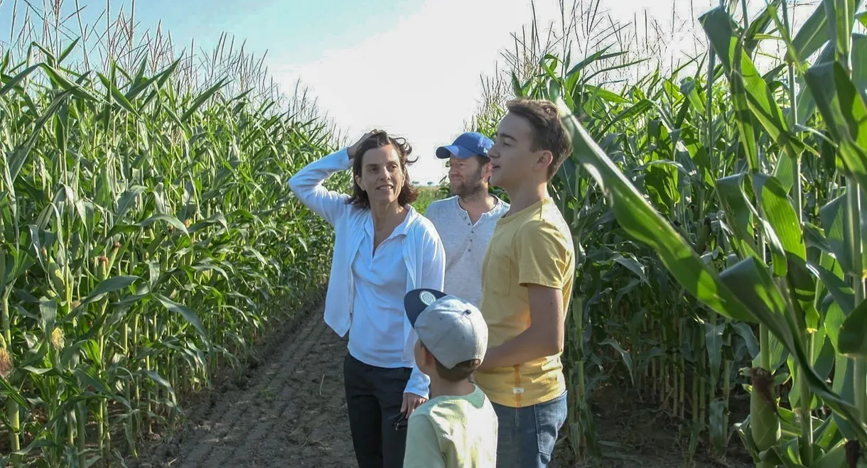 Anders essen - Das Experiment