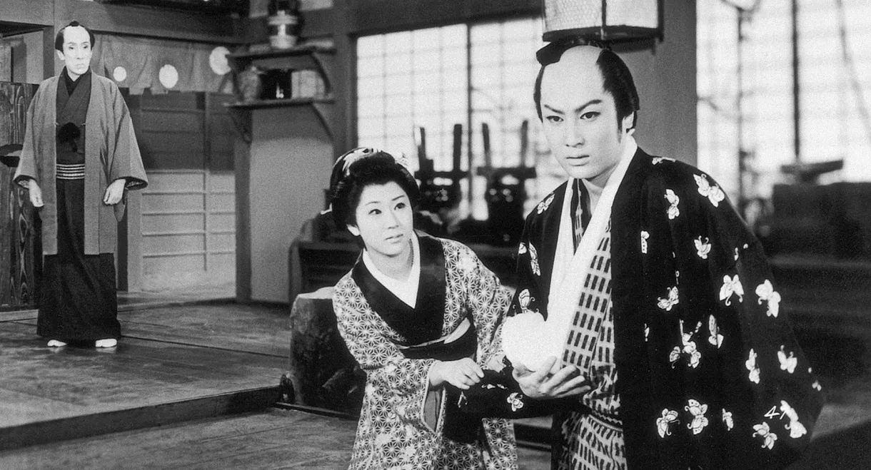 House of Spider Webs