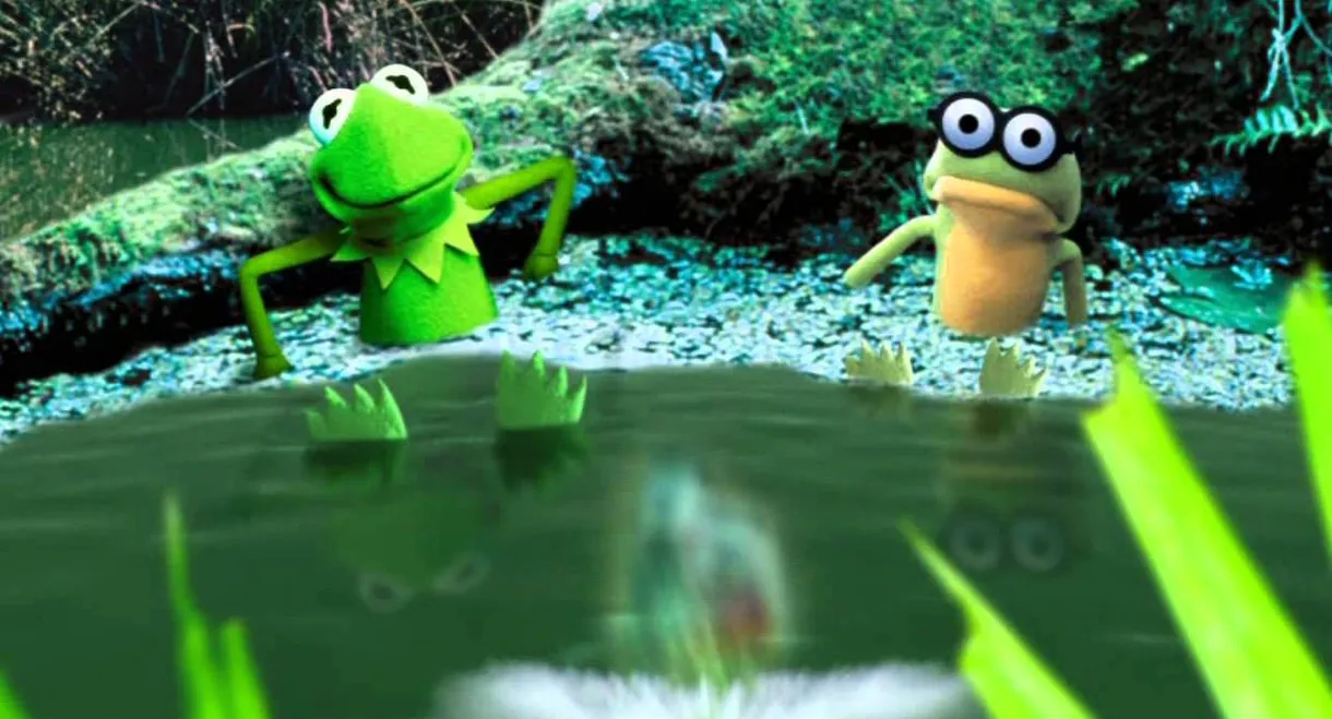 Kermit's Swamp Years