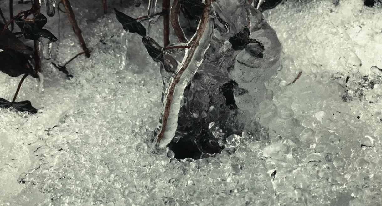 Friend of the Drifting Light