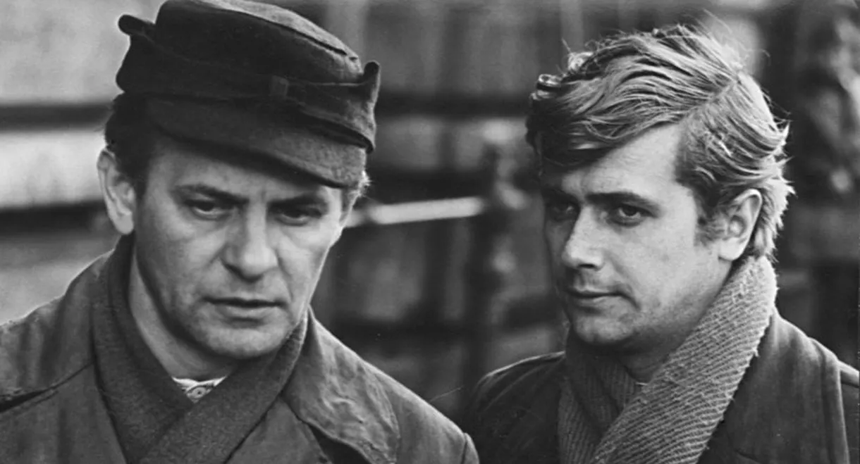 Stajnia na Salvatorze