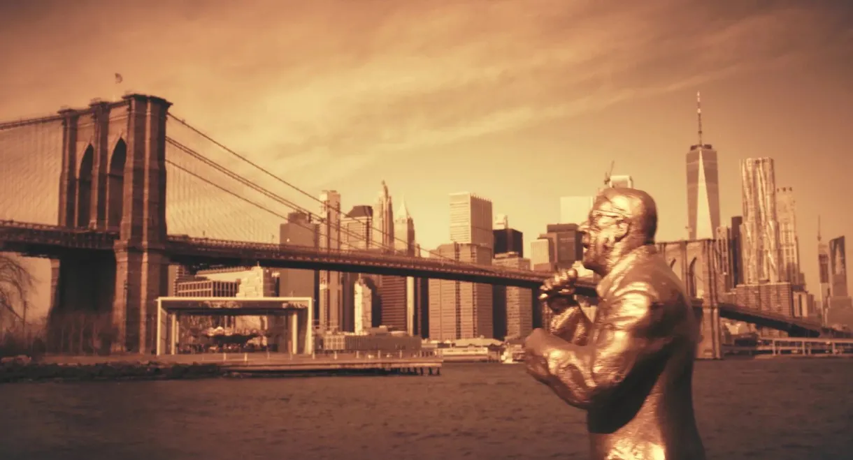 Saban Bajramovic - My Journey