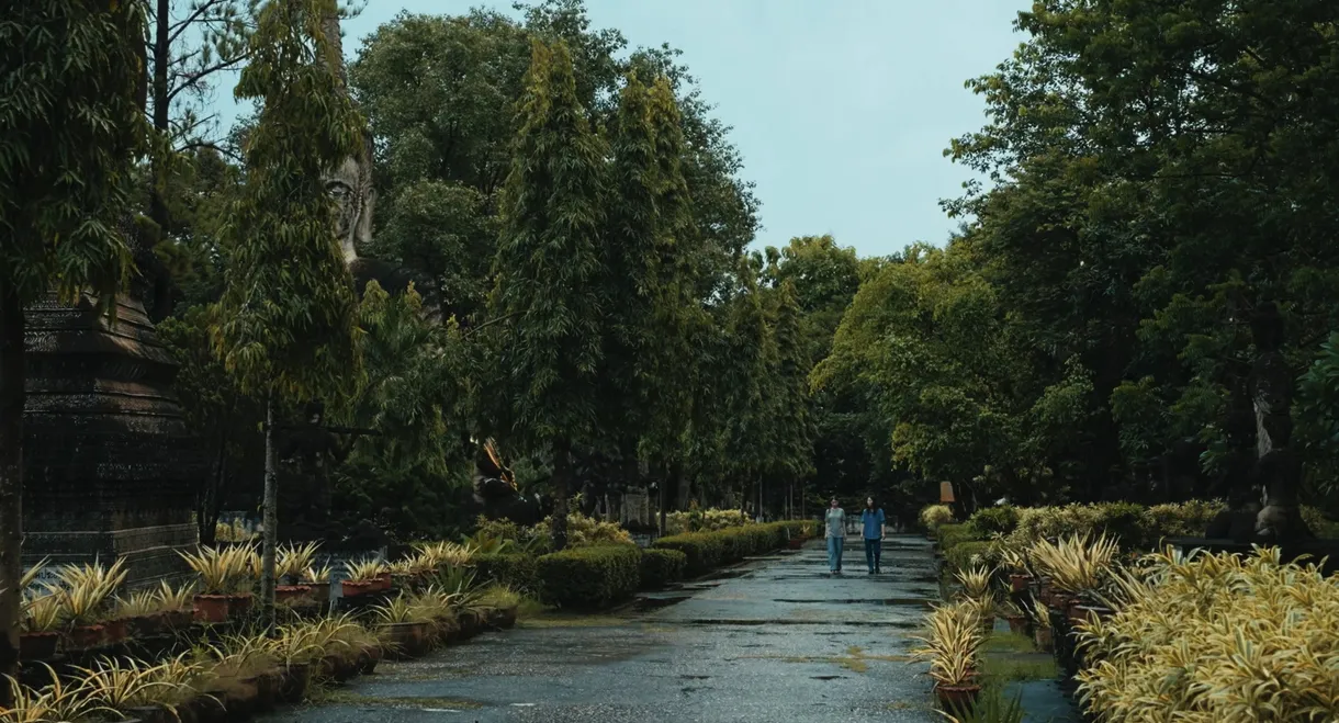 The Observer's Journal