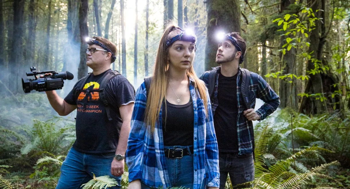 Legend of the Forest