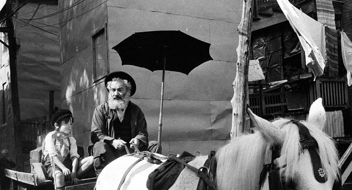 Lies My Father Told Me