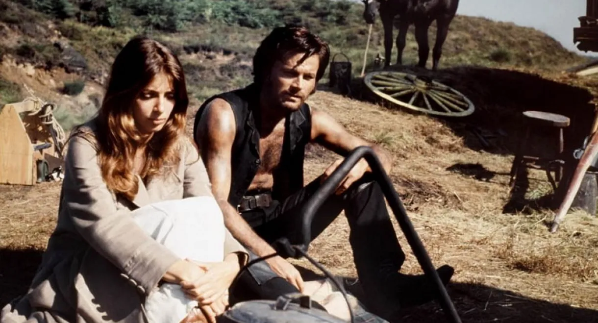 The Virgin and the Gypsy