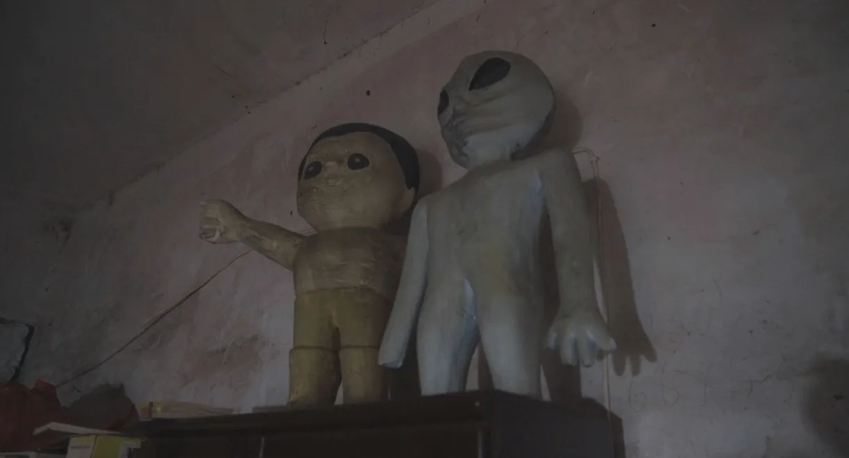 Fragments from the Birth of the Universe